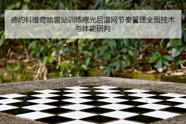 de-yue-ke-wei-qi-ha-lei-zhan-xun-lian-bao-guang-hou-wen-wang-jie-zou-guan-li-quan-mian-ji-shu-yu-ti-neng-yan-pan-2-682.jpg