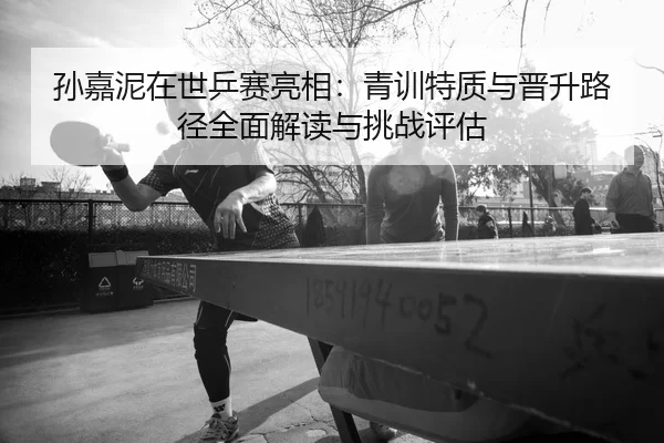 sun-jia-ni-zai-shi-ping-sai-liang-xiang-qing-xun-te-zhi-yu-jin-sheng-lu-jing-quan-mian-jie-du-yu-tiao-zhan-ping-gu-2-522.jpg
